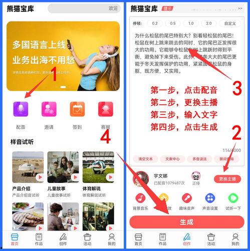 头条上的视频怎么制作,头条热门视频深度解析