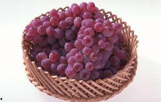 葡萄瓜孕妇可以吃吗,孕妇饮食中的健康选择