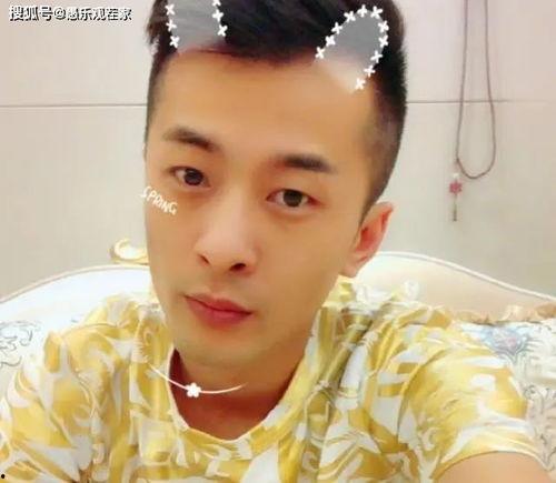 网红支持辛巴,携手共创辉煌未来