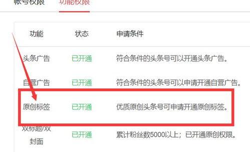 头条号原创可以做吗,打造独特内容，引领信息时代潮流