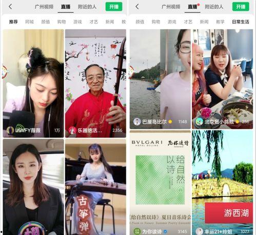 农村网红菜籽视频直播,网红菜籽带你领略乡村美食魅力