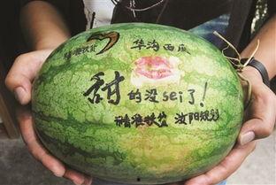 院士谷吃瓜,揭秘科研界的“吃瓜”风云