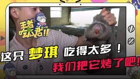 pvs吃瓜君,揭秘娱乐圈幕后真相，带你领略明星生活