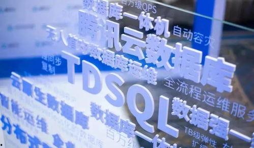 头条之星在深圳,深圳闪耀，引领新媒体潮流”