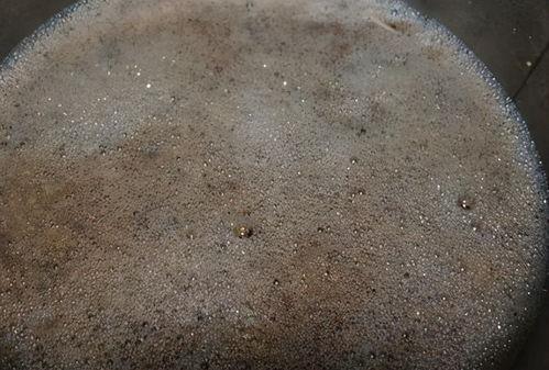 怎么看发酵料的好坏啊,一看便知