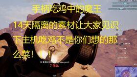 呆瓜式吃鸡,欢乐逗趣的生存之旅