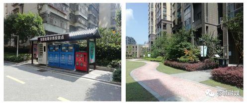 九龙小区爆料视频最新,揭秘神秘事件真相！