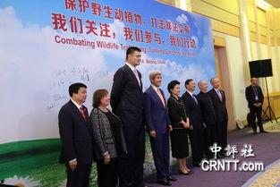 今日保国新闻头条,保国聚焦重大政策发布，引领发展新篇章