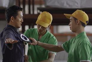 爆料林氏木业事件视频,揭秘行业乱象背后的真相