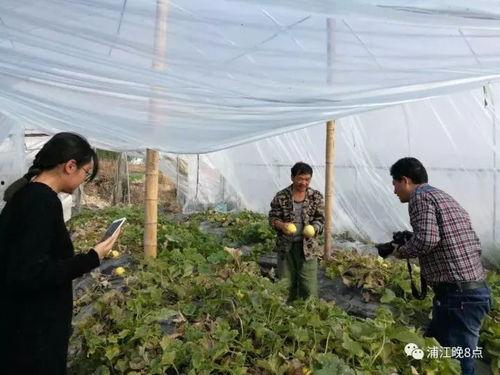 吃瓜群众活动现场视频