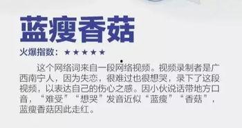 网红语句,网络时代的流行语汇