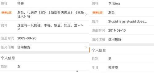 ip地址明星,探寻星光熠熠的数字足迹