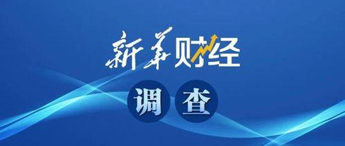 头条新华财经怎么投资,揭秘投资策略，助您把握投资脉搏
