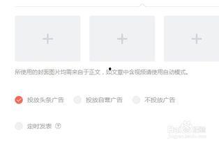 头条号一缕阳光文章,揭秘生活中的温暖瞬间