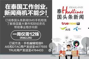 西度头条新闻,聚焦最新热点，深度解析社会现象